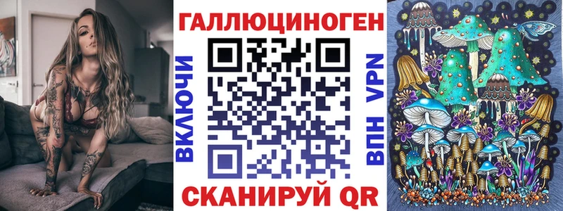 Псилоцибиновые грибы ЛСД  shop официальный сайт  Курганинск 